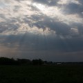 Dark IMG_3997